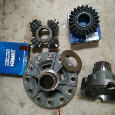 Bộ ruột Và vỏ vi sai cầu 