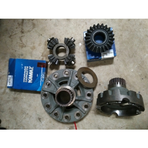 Bộ ruột Và vỏ vi sai cầu 